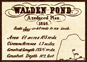 Survey of Walden Pond, 1846